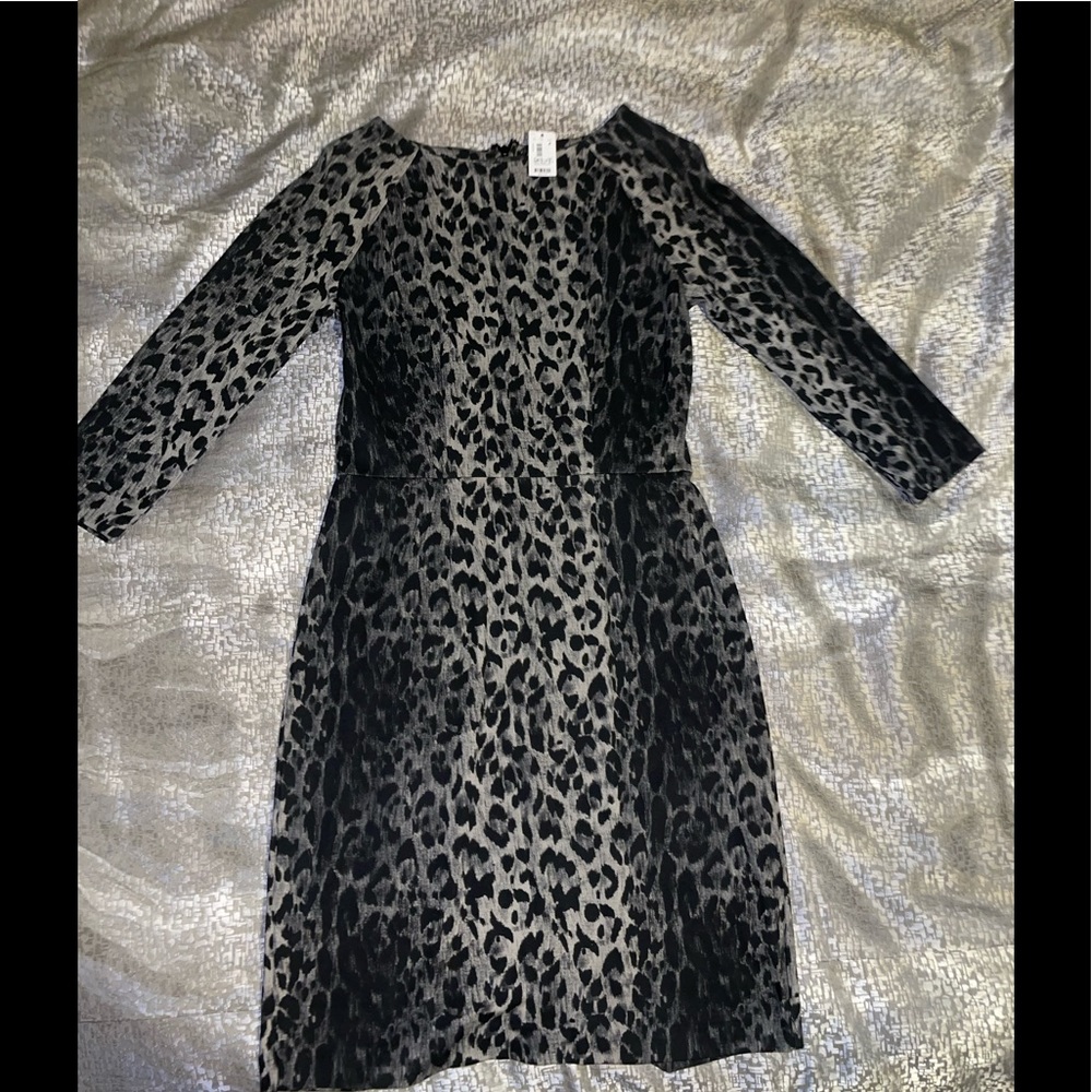 The Limited Leopard Dress.